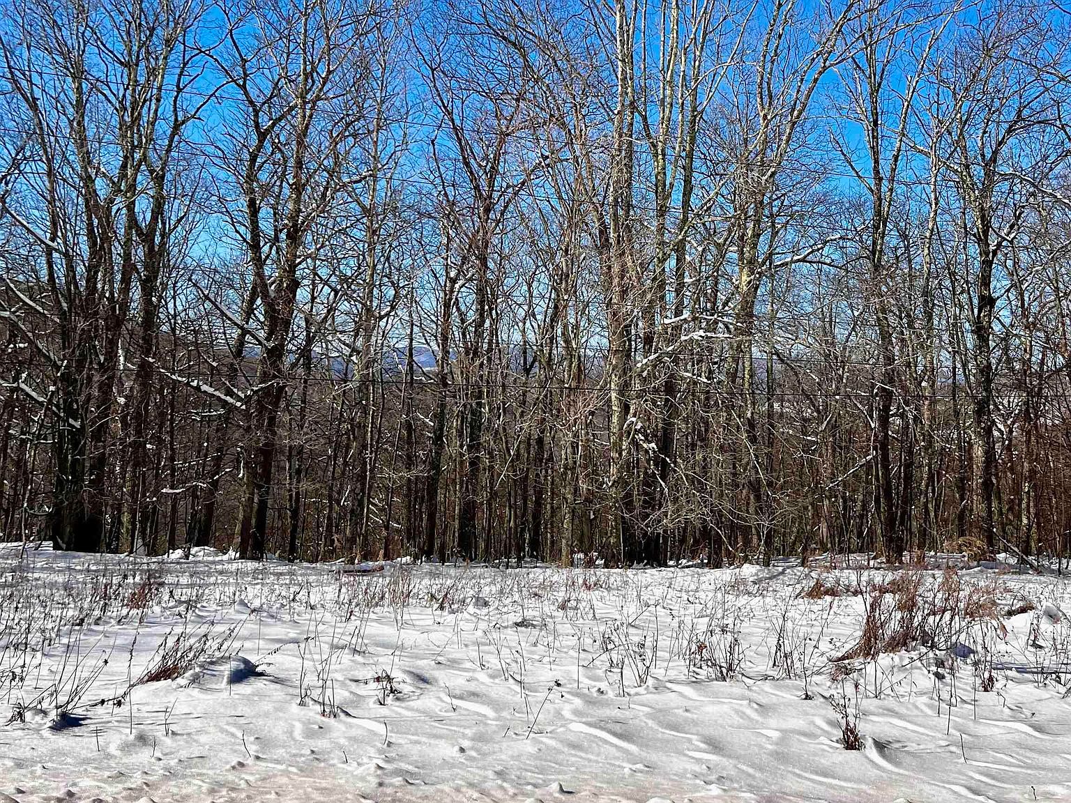 Todd Mountain Road, Arkville, NY 12406 MLS 20240334 Zillow