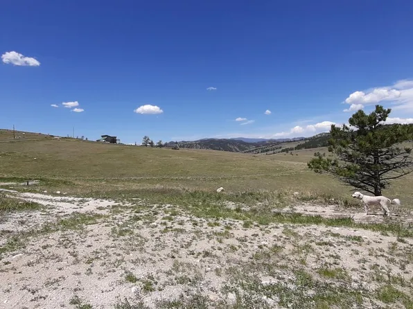 80 Mount Saint Helens Ct, Livermore, CO 80536