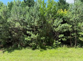 1425 River Rd, Warm Springs, GA 31830