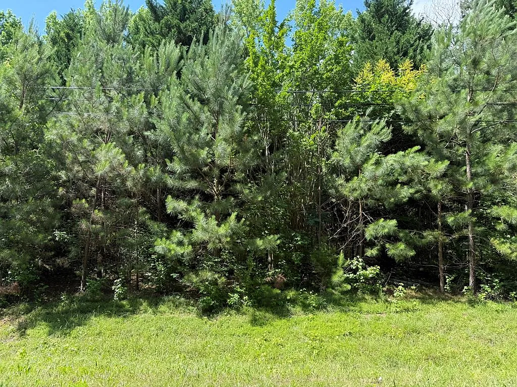 1425 River Rd photo 1