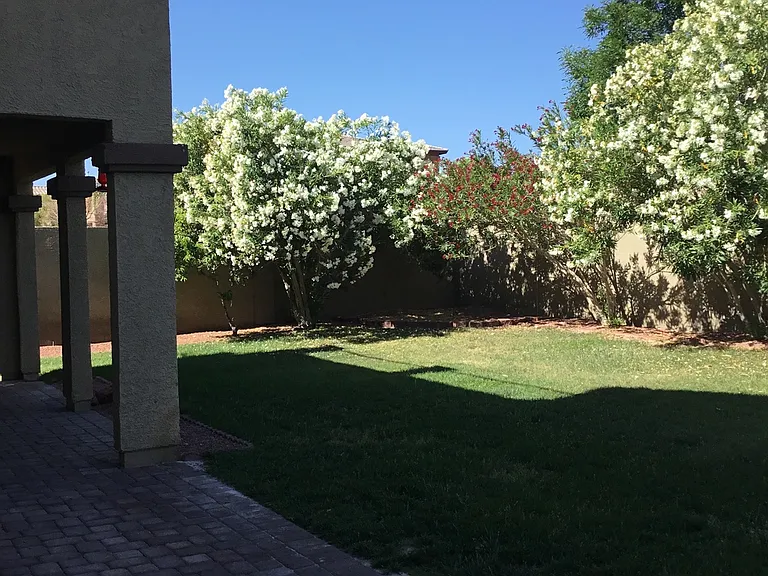 8105 Tazeer St — Photo 20