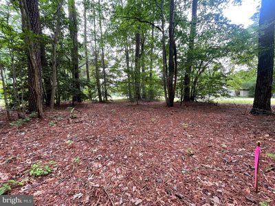 LOT 45 Ships Row & Stern Way, Montross, VA, 22520