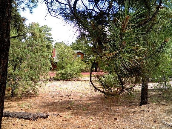4th image of 2501 Chiricahua Dr