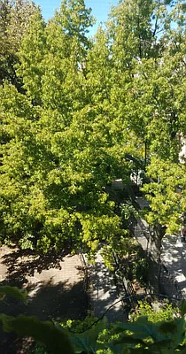 Rented by Tompkins Square Realty | media 27