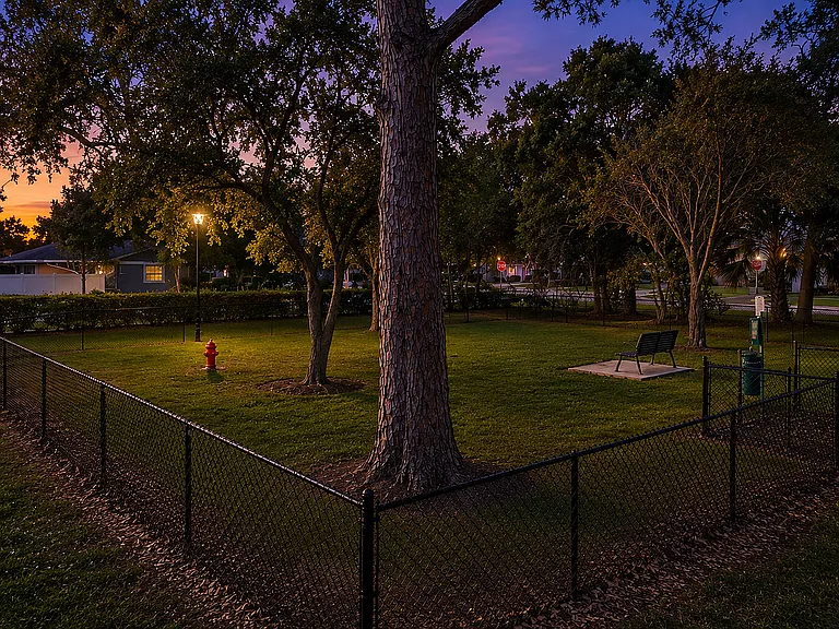 Bark Park Sunset