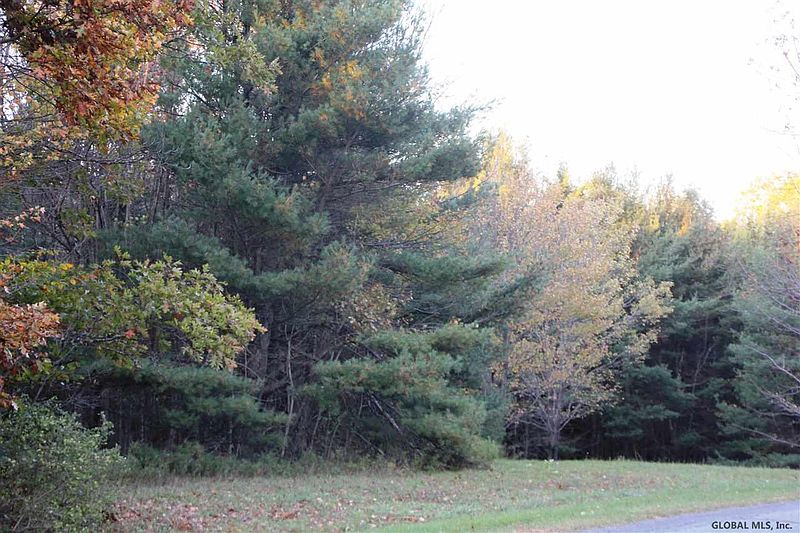 3rd image of COTTON HILL Road