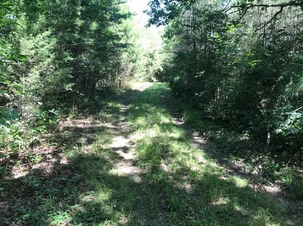 0 County Road 875, Etowah, TN 37331