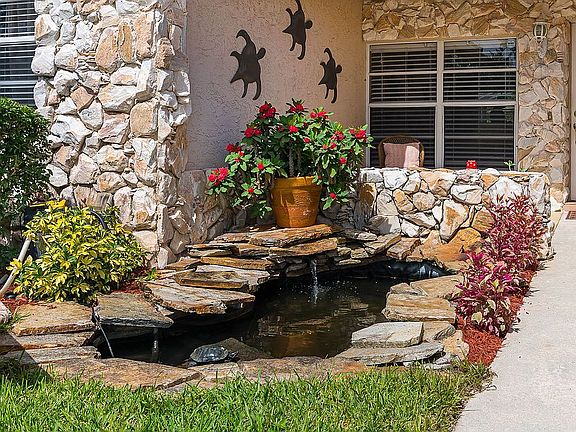 Turtle and fish pond