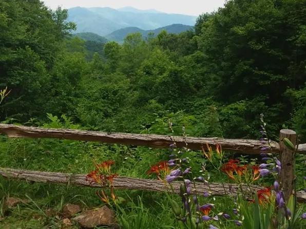 1299 Too Sweet Rd, Sylva, NC 28779