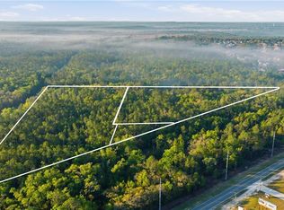 6630 N Treefarm Ave, Beverly Hills, FL 34465