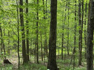 0 Carcass Brook Rd, Walton, NY 13856