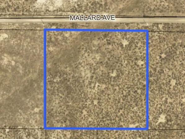 Mallard Ave, Elko, NV 89801