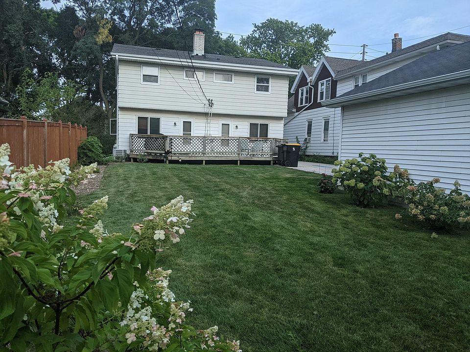 Shared Backyard
