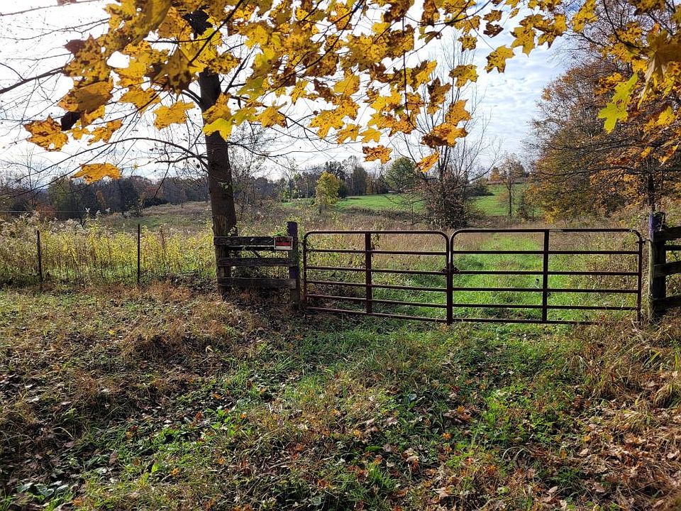 Entrance to old homesite facing southeast.