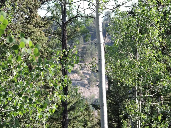 170 Buckskin Ct, Como, CO 80456