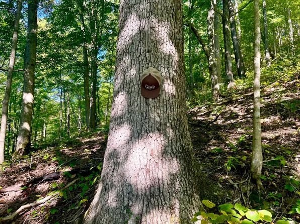 McKee Rd, Irvine, KY 40336