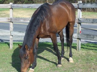 392 Ramtown Greenville Rd, Howell, NJ 07731