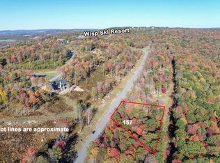 157 Fork Run Trl, Mc Henry, MD 21541