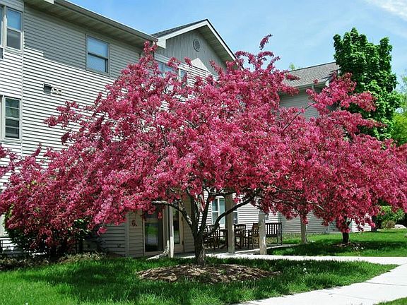 2nd image of 922 Sunset Rd #9ff88f904