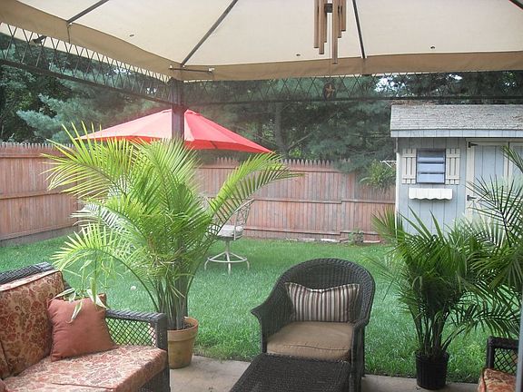 Back yard, patio, shed