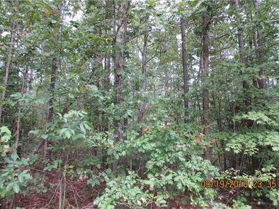 8943 Baltimore Rd, Ford, VA, 23850