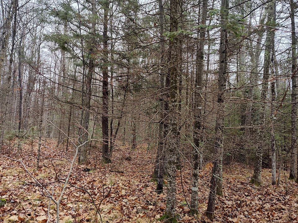 2nd image of On Lake Rd