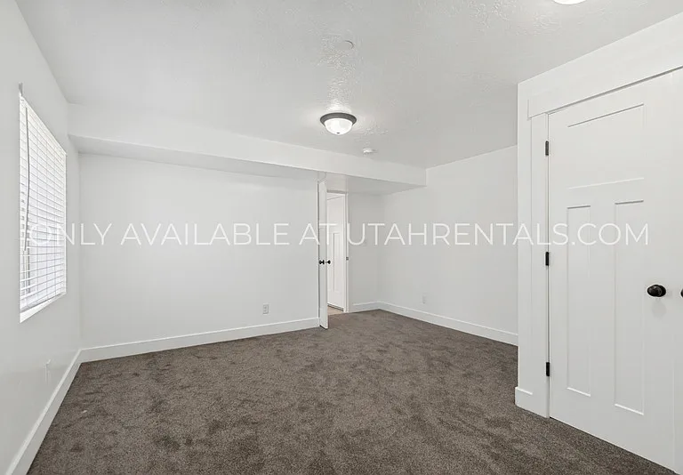 1076 Bear Hollow Ln #BASEMENT — Photo 9