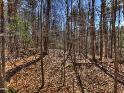 0 Tyringham Rd, Otis, MA, 01253