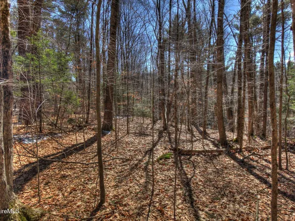 0 Tyringham Rd, Otis, MA 01253