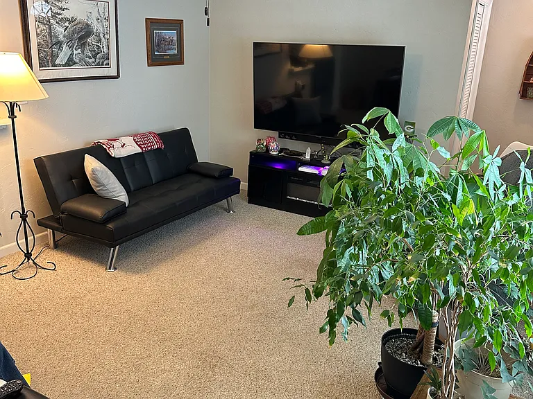 3130 Sandia Dr — Photo 6