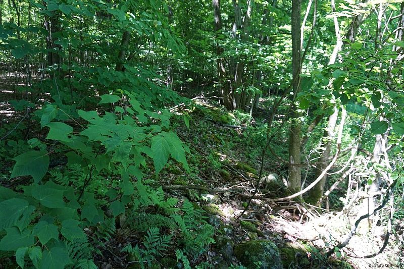 3rd image of 0 W RICHMONDVILLE Road