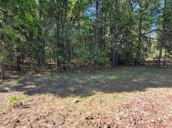 Soldier Mountain Rd, Fall River Mills, CA 96028