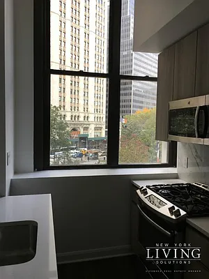 Rented by NY Living Solutions | media 37