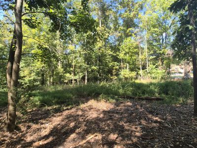 0 Spring St, Monteagle, TN, 37356