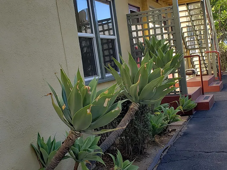 823 N Adams St — Photo 4