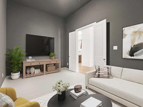 Entertainment Room