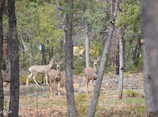 3761 E Horseshoe Loop, Show Low, AZ 85901