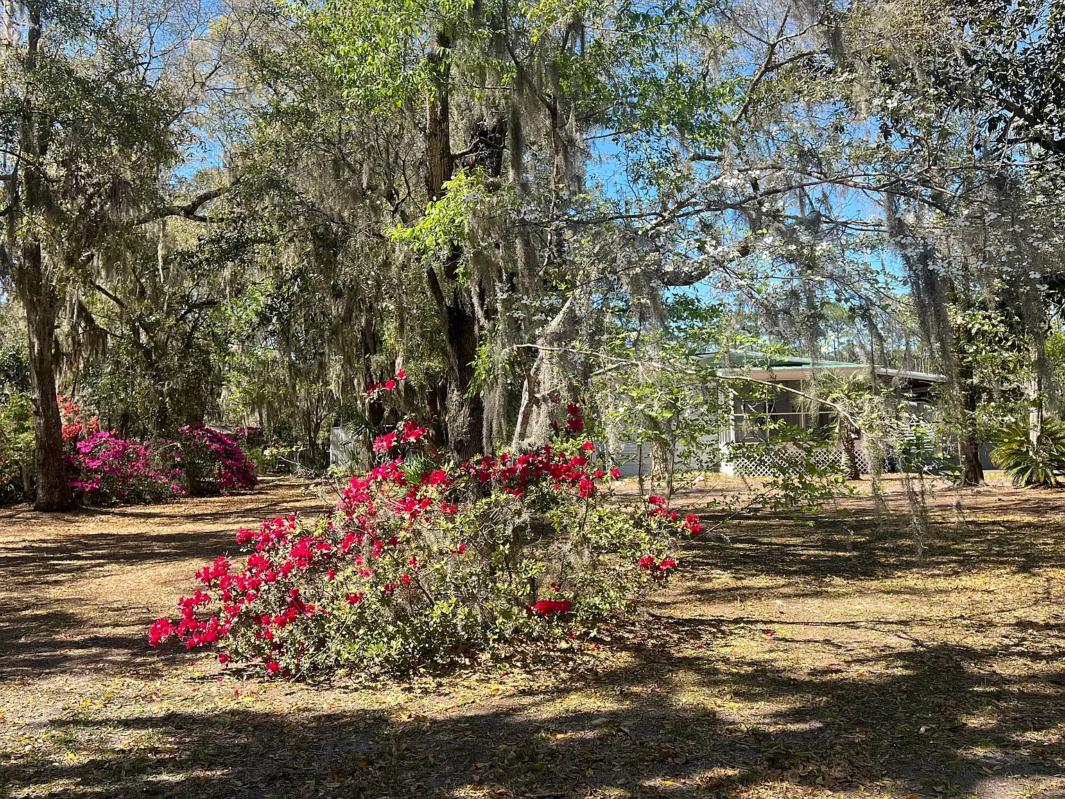 2 bed, 1144 sqft, $1,800 — Photo 4