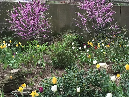 Sold by Real Direct | media 22