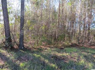 TRACT Four Dossies Rd, Conway, SC 29526
