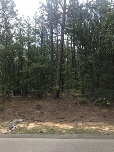 114 James Dr, West End, NC, 27376