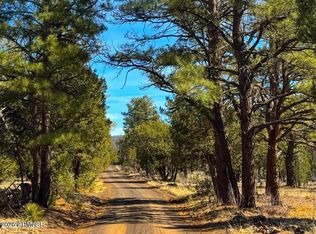 11 County Rd N, Concho, AZ 85924