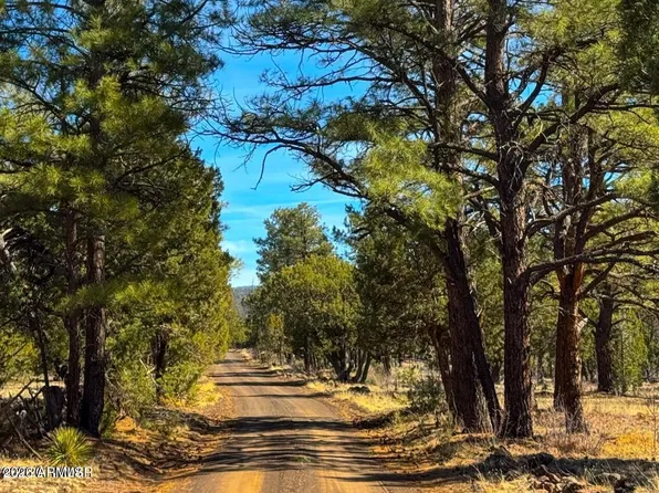 11 Co Rd N3262 5 Acres -- #-, Vernon, AZ 85940