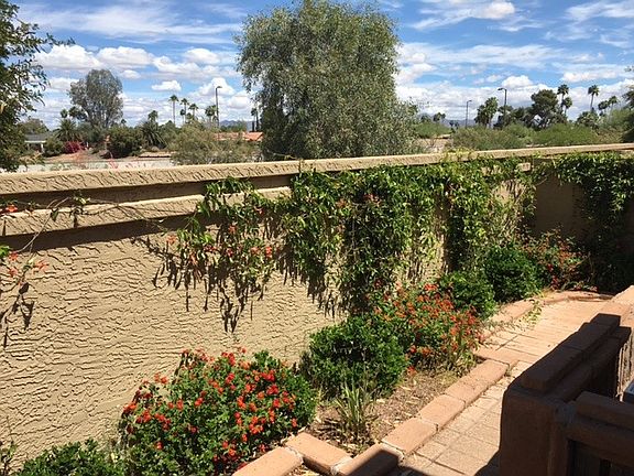 Backyard is perfect for a summer BBQ