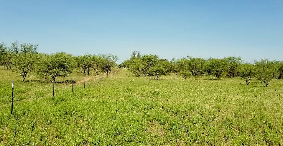 1st image of 4401 County Road 236