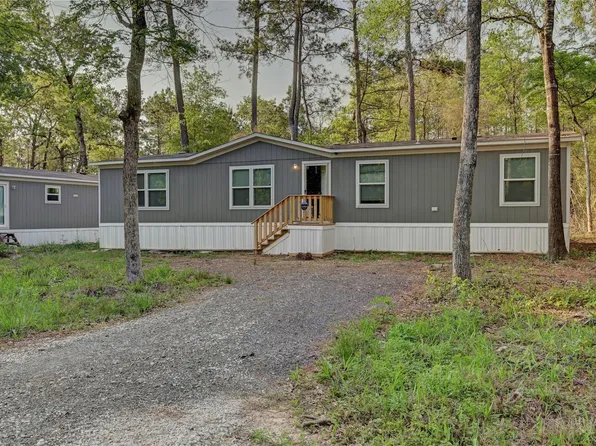 7996 Tawnyberry Ln, Plantersville, TX 77363