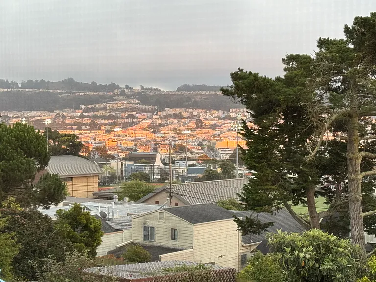 Backyard view