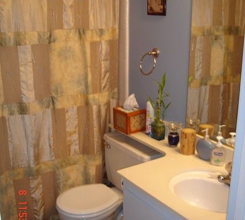 guest/second bathroom