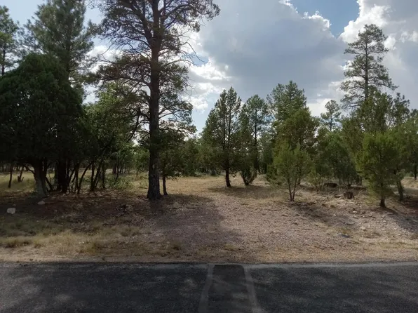 2520 Arapaho Dr, Happy Jack, AZ 86024