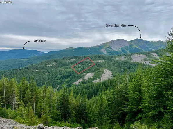 Snag Mountain Rd #110, Washougal, WA 98671